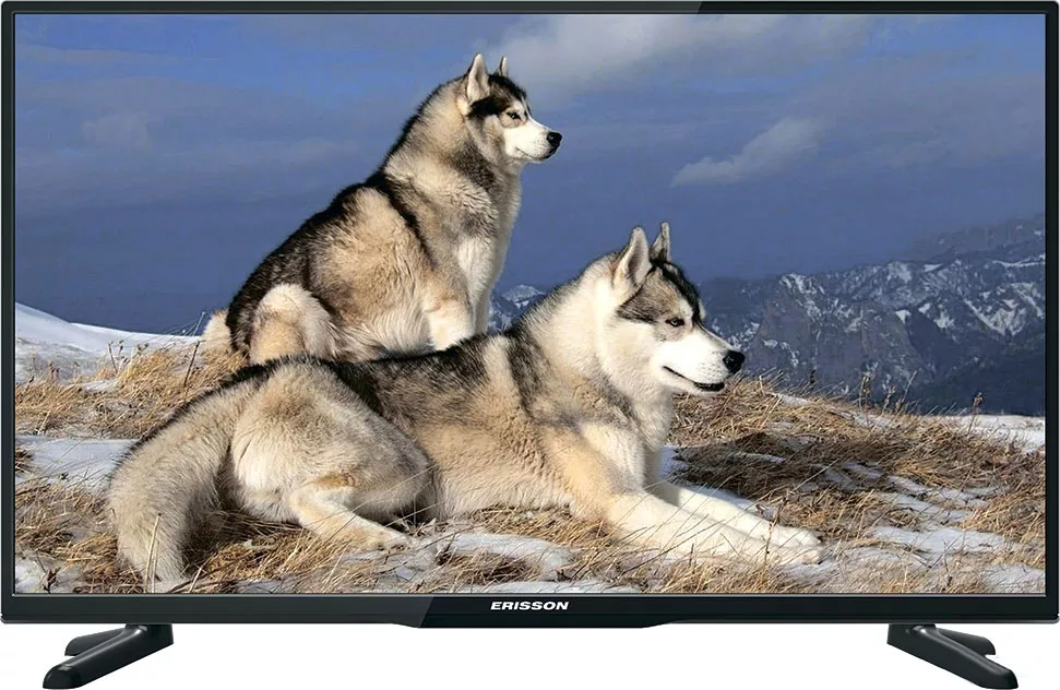 Телевизор Erisson 32HLE21T2SM - фото1